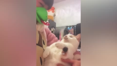 FUNNY ACTING OF ANIMALS WITH MOM DAD ❤️😘👌