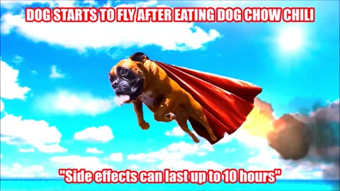 Dog starts flying after eating Dog Chow chili.