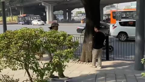 Skateboarding Life with Friends on the Street