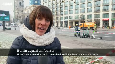 Giant Berlin hotel aquarium with 1,500 fish explodes - BBC News