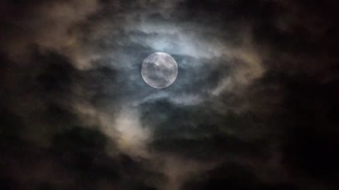 Moon And Clouds In The Night Sky Royalty Free Stock Footage
