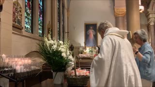 ST ANTHONY FEAST, Gospel, Homily, Blessing of the Bread