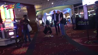 Beagle on the Casino Floor