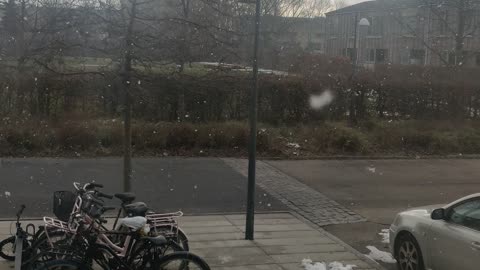 Snow fall in Denmark, 2023 march.