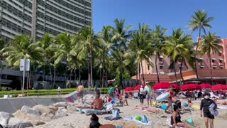 Vibrant Waikiki Beachfront Sights and Sounds