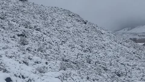 Hiking in a cold and snowy weather .