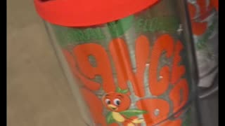 Walt Disney World Florida Orange Bird Plastic Tumbler with Lid #shorts