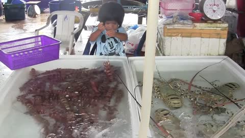 Fish Market & Seafood, Rawai, Phuket, Thailand