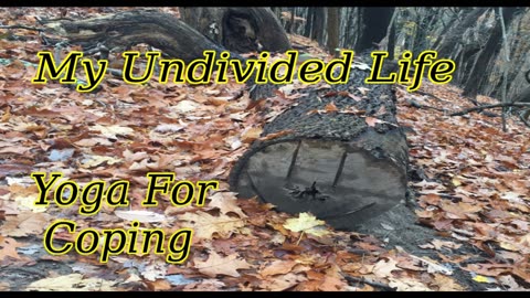 My Undivided Life Yoga For Coping #2 Change Depression
