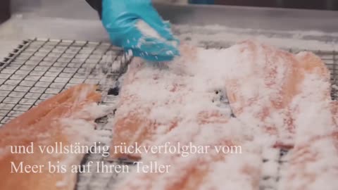 Irish Organic Salmon Video 20 second