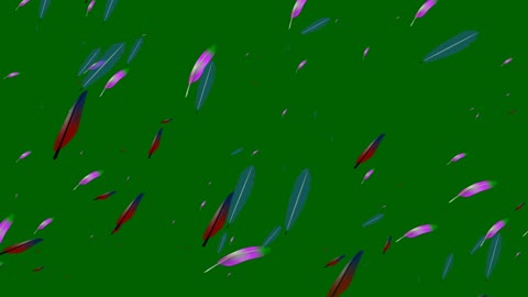 Colored feathers falling on green background