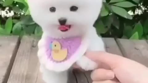 So cute must watch video