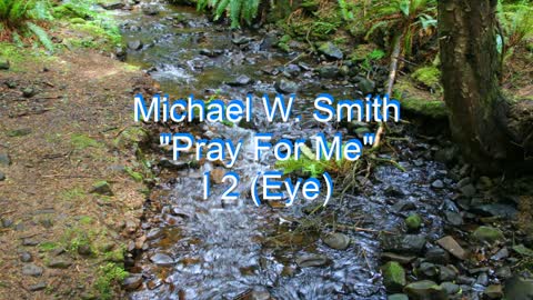 Michael W. Smith - Pray For Me #75