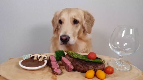 My Dog Eating Show Steak& Wine Asparagus Mukbang