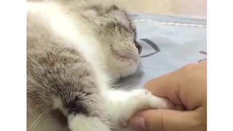 While he sleeps,squeez his hand