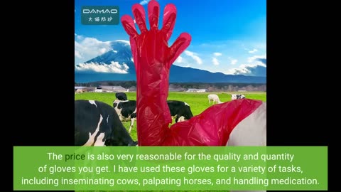 Buyer Feedback: Halter Disposable Artificial Insemination Gloves, Veterinary Gloves Shoulder Le...