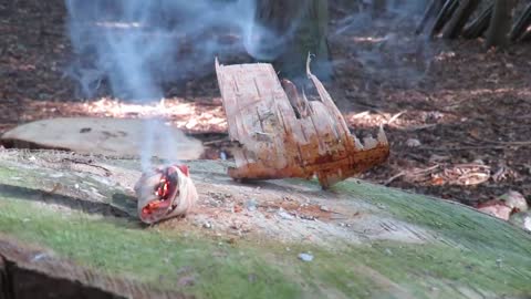 bushcraft fire starter using birch bark
