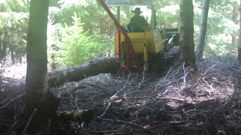 Bulldozer gets pulled up while pulling a log