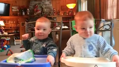 Best Videos Of Cute and Funny Twin Babies - Big Funny Videos