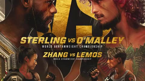 SEAN O'MALLEY KNOCKS OUT ALJAMAIN STERLING