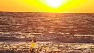 2/24/24 Sunset on North Naples, Florida beach Psalm 113:3