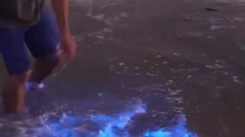 lights moving in water
