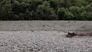 River in Kamikochi, Nagano