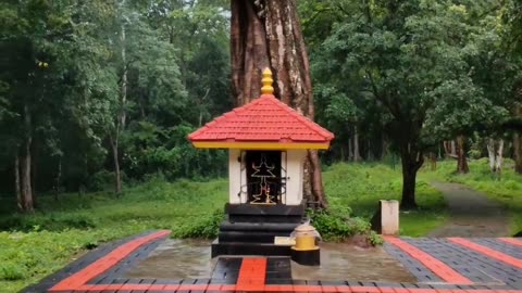 Journey to Paradise: Nadukani Estate, Wayanad, Kerala