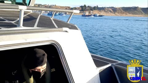 Armada y Sernapesca vigilan tránsito de flota extranjera por Zona Económica Exclusiva