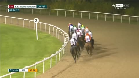Horse with character! Bird For Life misses the break by miles but still wins!