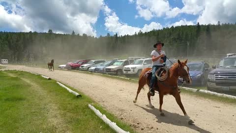 The Running of the Horses