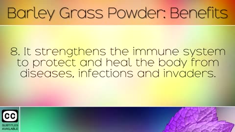 Barley Grass Powder_ Benefits and Uses
