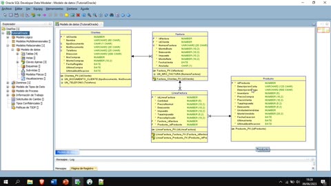 Oracle y el lenguaje PL/SQL parte 6. Restricciones