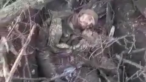 littered with corpses after the attack of the Russian Army.