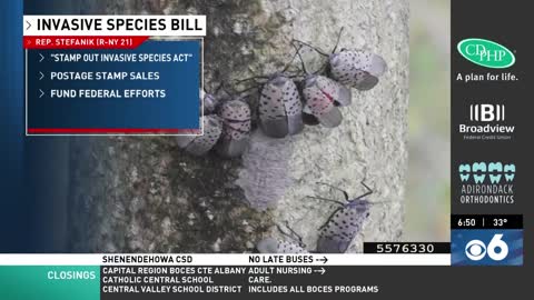 Elise Reintroduces the Stamp Out Invasive Species Act 01.20.2023