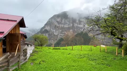 "Strolling in the Rain: Gimmelwald's Enchanting Swiss Village Walk 🇨🇭"