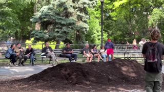 Another unhinged woman caught on video harassing locals at Tompkins Square Park