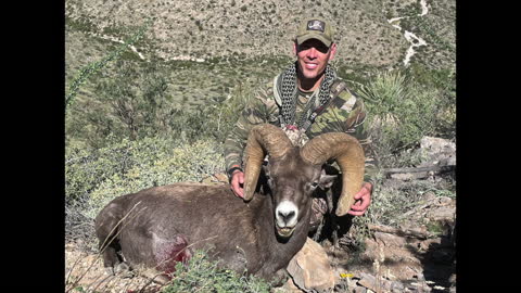 459 Yard Desert Big Horn Sheep • 169 Hammer Hunter • 7mm Rem Mag