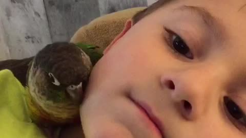 Parrot snuggles with new best friend