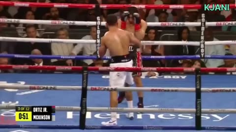 BRUTAL BODY SHOT _ Vergil Ortiz Jr. vs. Michael McKinson Highlights