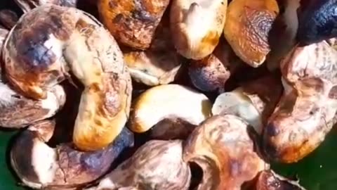 Are cashews roasted?😋😋😋