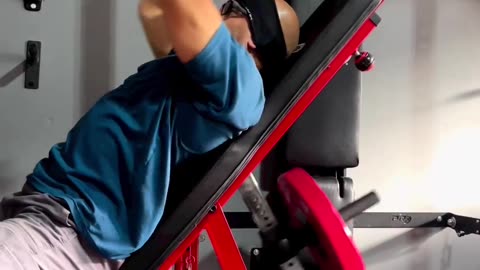 Bulletproof Isolator Back Exercises