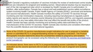 Covid Vaccines in Pregnancy - Politicians Lied About Safety