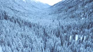 Relaxing Winter Snow landscape with Relaxing Mindfulness and Calming music