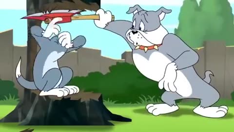 Tom and jerry new episode