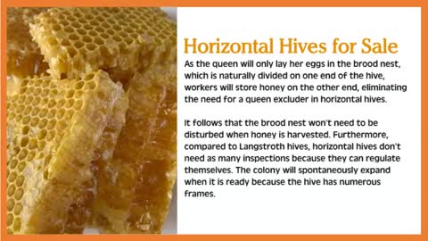 Long Langstroth Hive