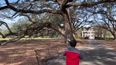 Oak Alley Plantation Paranormal activity investigation