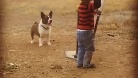 Kid and puppy playing baseball together
