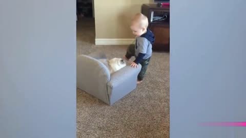 Hilarious Baby & Cat Showdown!