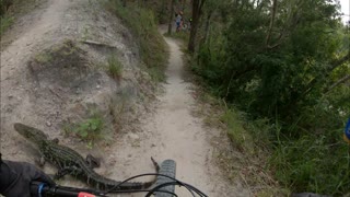 Rider Leaps over Alligator on MTB Trail